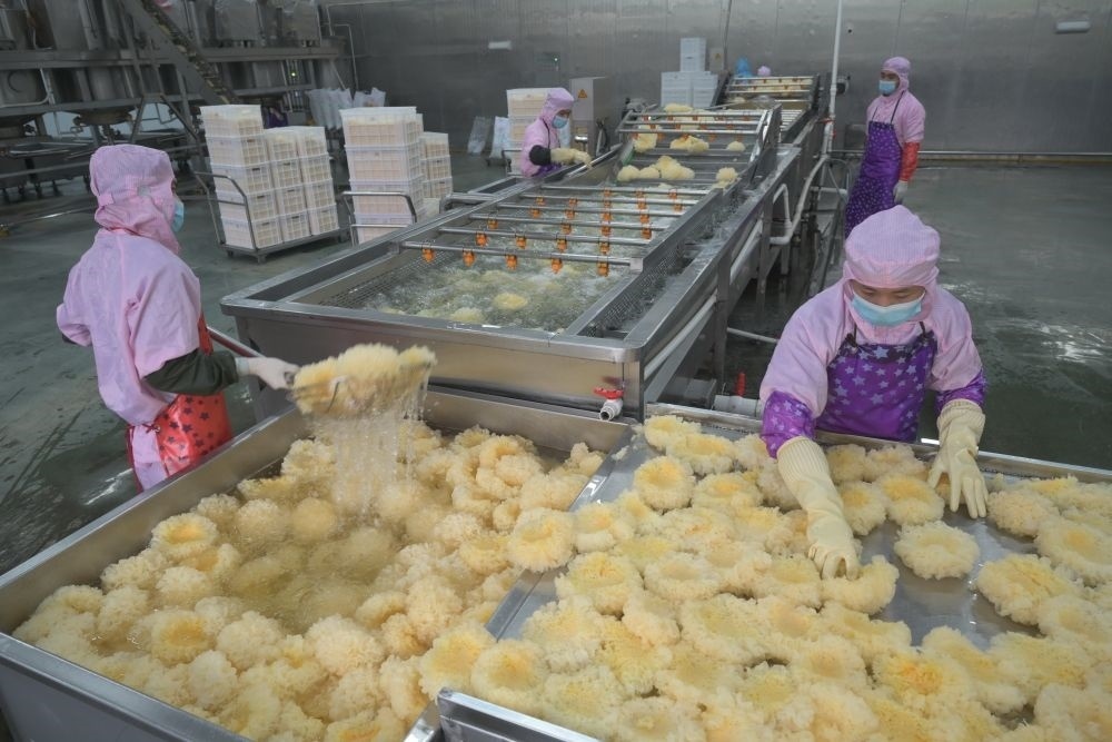 2024年5月10日，在福建省寧德市古田縣，一家食品公司的工作人員在挑選清洗銀耳。新華社記者 林善傳 攝
