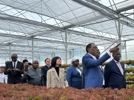 使節(jié)團考察貴州省清鎮(zhèn)駱家橋蔬菜保供基地的無土栽培溫室。新華社記者 袁睿 攝