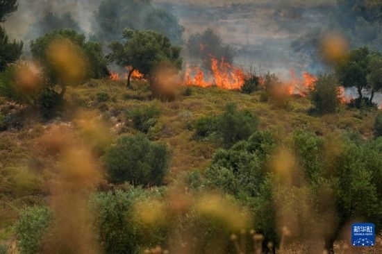 6月12日，以色列北部加利利地區(qū)遭受火箭彈襲擊后冒出滾滾濃煙。新華社發(fā)（阿亞爾·馬戈林?jǐn)z/基尼圖片社）