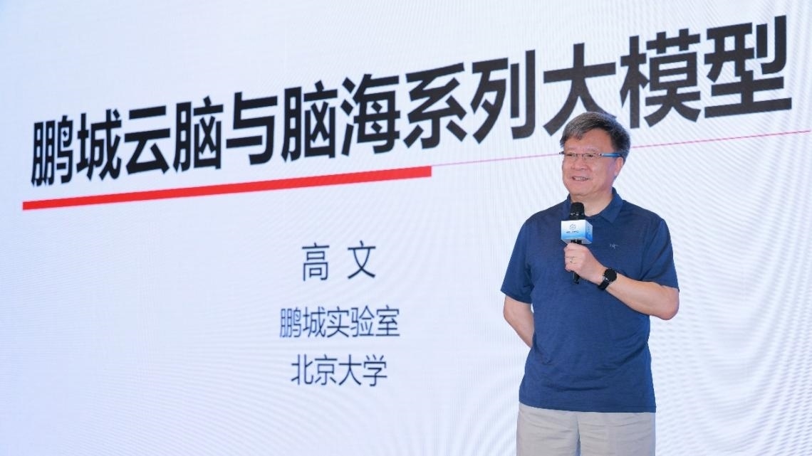 高文院士做大會特邀報告。主辦方供圖