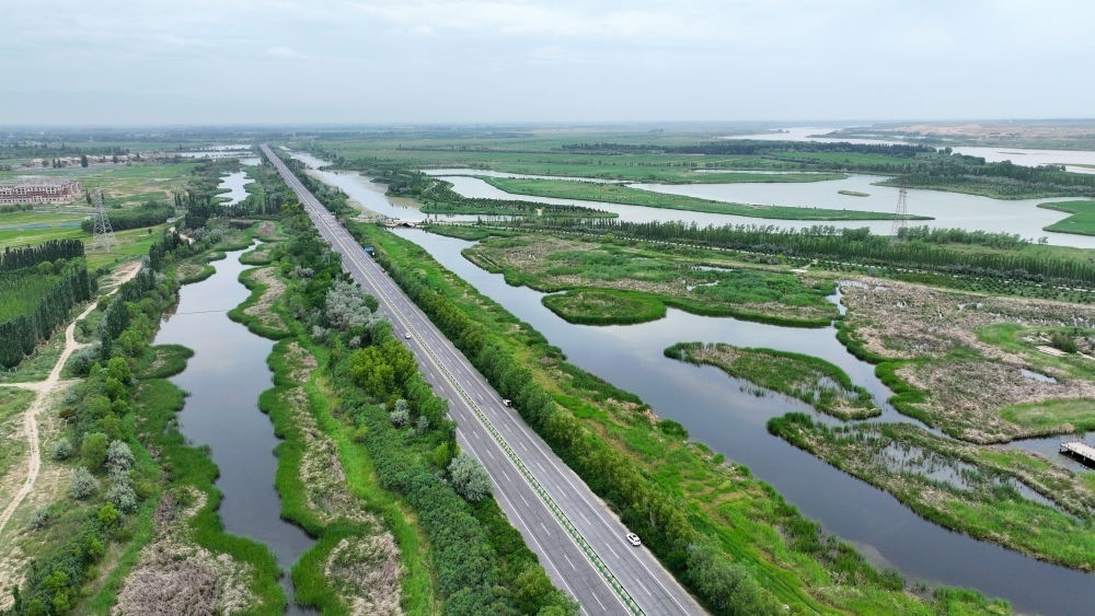 這是2024年6月13日拍攝的黃河寧夏段濱河大道（無人機照片）。近年來，寧夏努力建設(shè)黃河流域生態(tài)保護和高質(zhì)量發(fā)展先行區(qū)，全力打好黃河保護持久戰(zhàn)。新華社記者 王鵬 攝