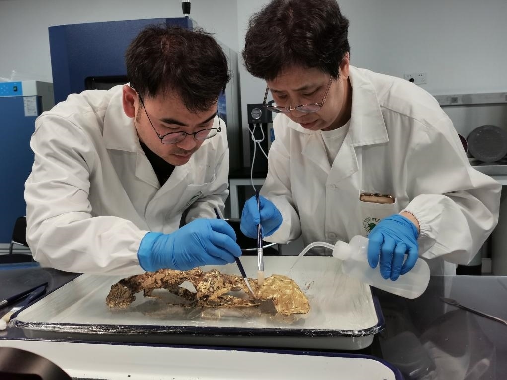 2023年7月，馬燕如（右）帶著魯海子（左）修復(fù)三星堆遺址出土的黃金面具。新華社發(fā)（四川省文物考古研究院供圖）