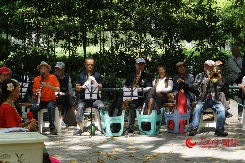 成都居民在公園里演奏歌曲。人民網(wǎng) 王禹蘅攝