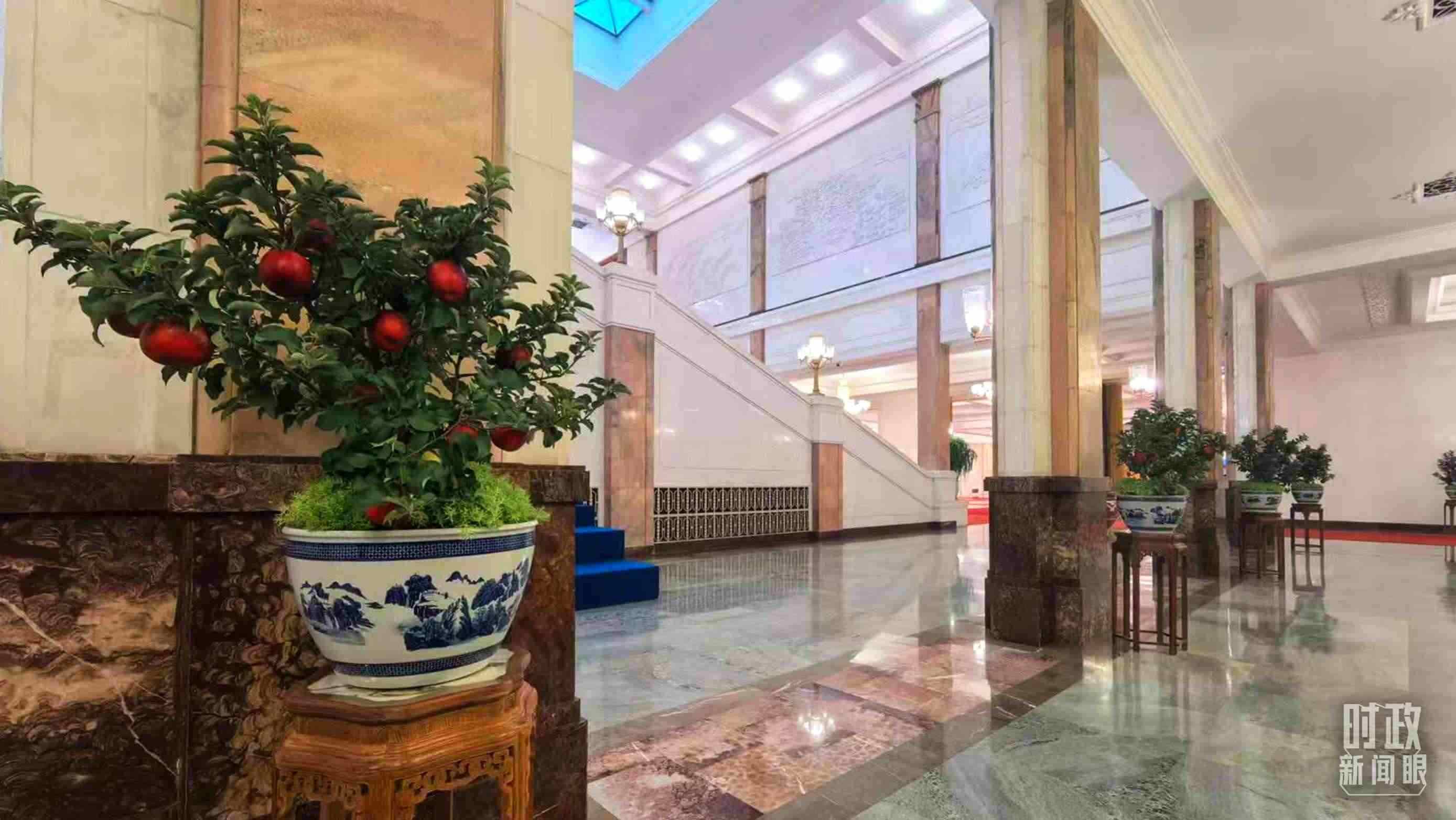  △大會堂內的“碩果累累”盆栽。（總臺國廣記者吳倩拍攝）