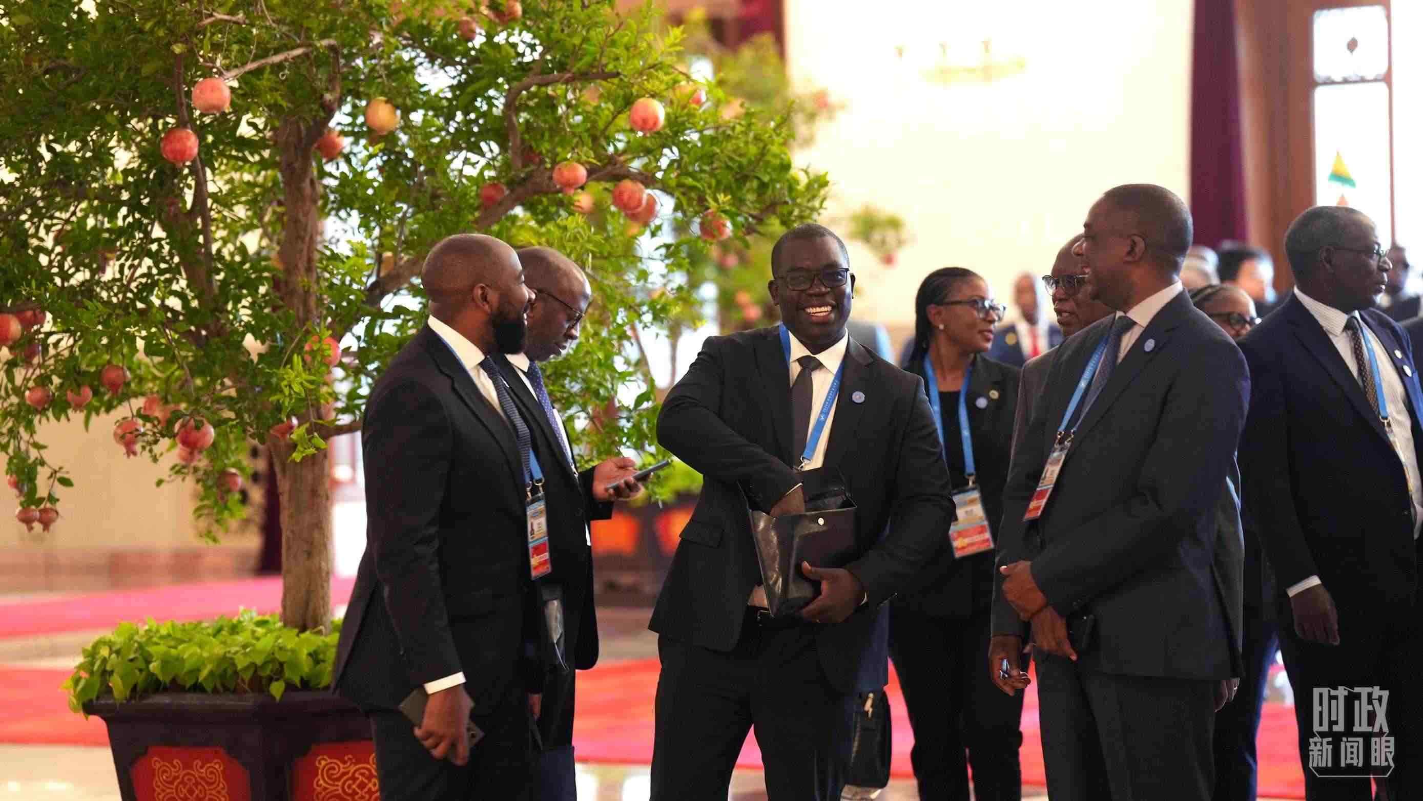 出席中非合作論壇北京峰會(huì)的非洲國(guó)家代表。（總臺(tái)記者李晉拍攝）