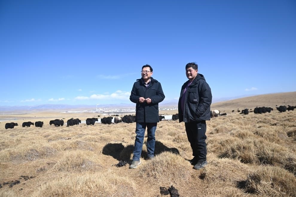 2023年2月24日，在青海省海北藏族自治州海晏縣青海湖鄉(xiāng)達(dá)玉日秀村，全國人大代表董全民（左）查看牧民東知布家的草場(chǎng)。新華社記者 張龍 攝