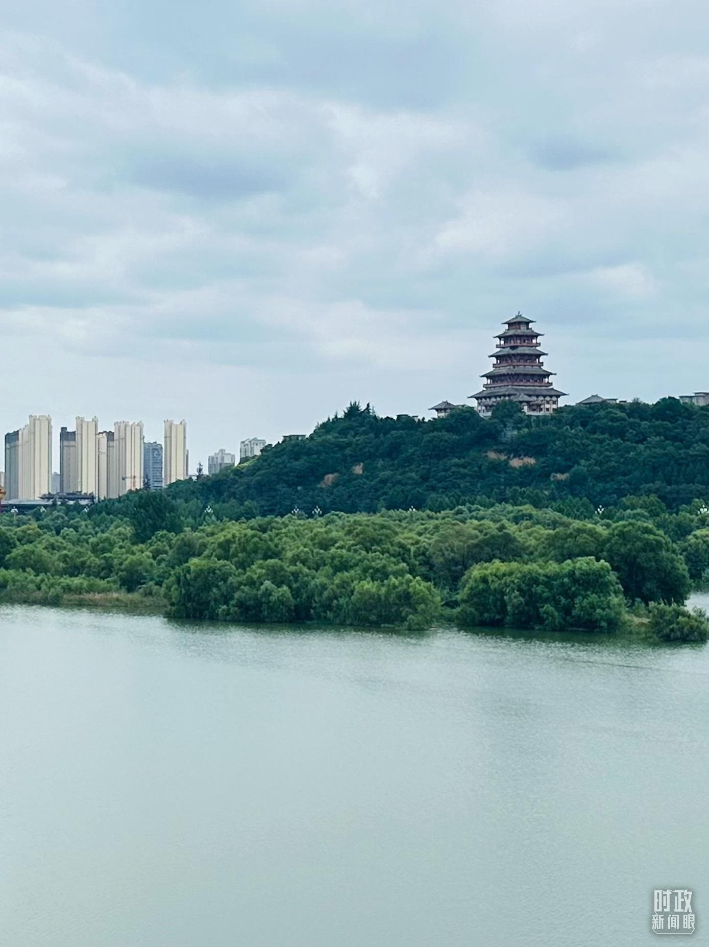 △渭河寶雞段長224公里，目前建成17處渭河灘區(qū)生態(tài)涵養(yǎng)區(qū)。（總臺央視記者范一鳴拍攝）