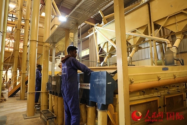 在Bule Hora咖啡加工廠里工作的當(dāng)?shù)毓と藗?。人民網(wǎng)記者 沈小曉攝