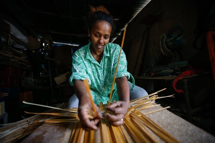 2024年8月10日，菲基爾特·加布雷在埃塞俄比亞首都亞的斯亞貝巴名為“綠色金子”的竹藤工作室里加工竹制產(chǎn)品。新華社發(fā)（邁克爾·特韋爾德 攝）