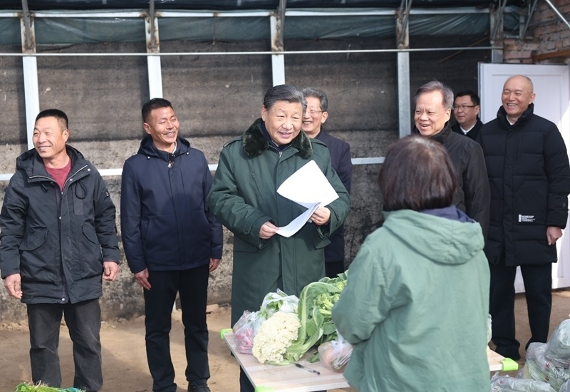 2024年2月1日，習(xí)近平總書記在天津市西青區(qū)辛口鎮(zhèn)第六埠村，走進(jìn)大棚同菜農(nóng)親切交流。