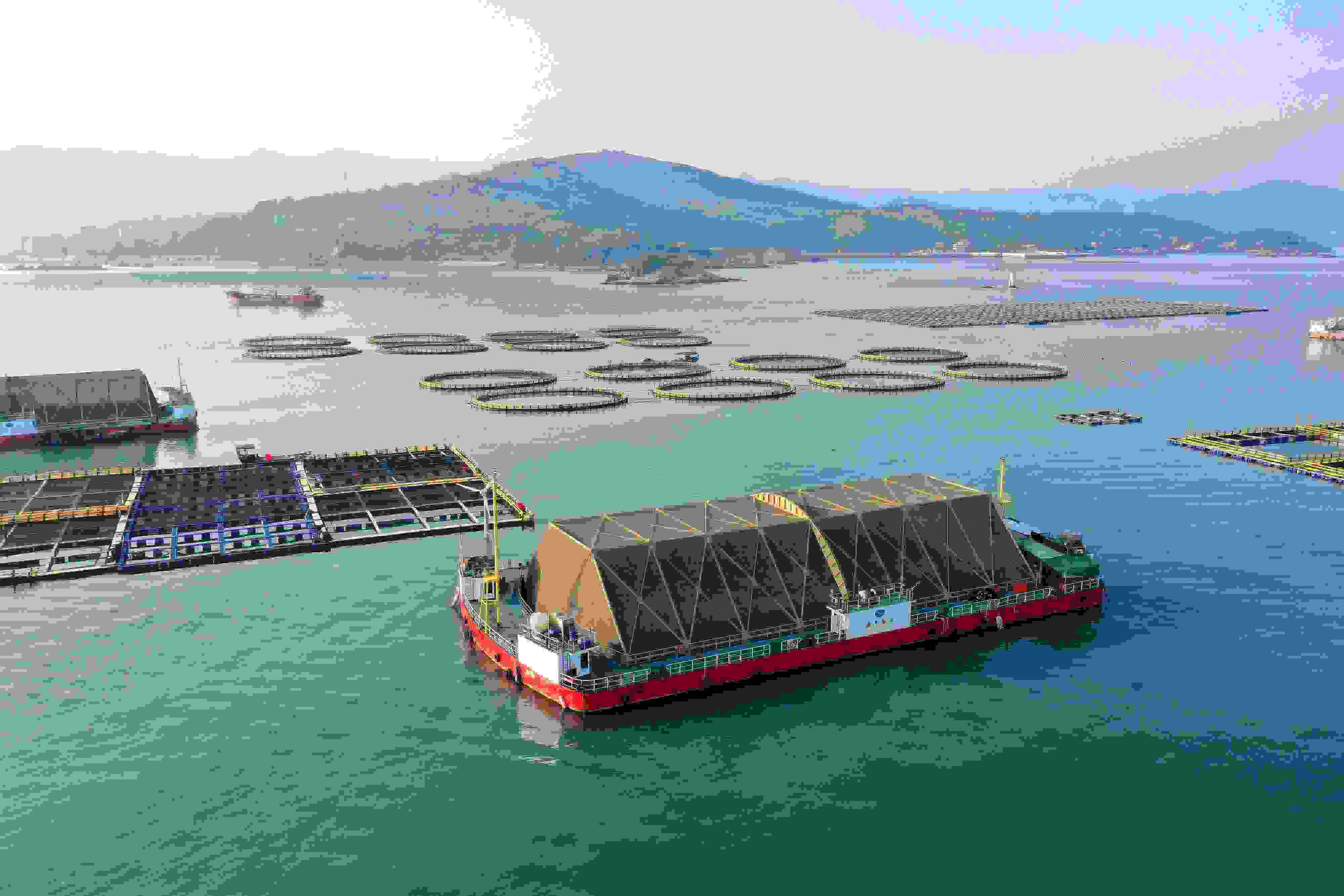 2024年9月10日拍攝的福建省福州市連江縣定海灣海域的現(xiàn)代化“海上糧倉”。