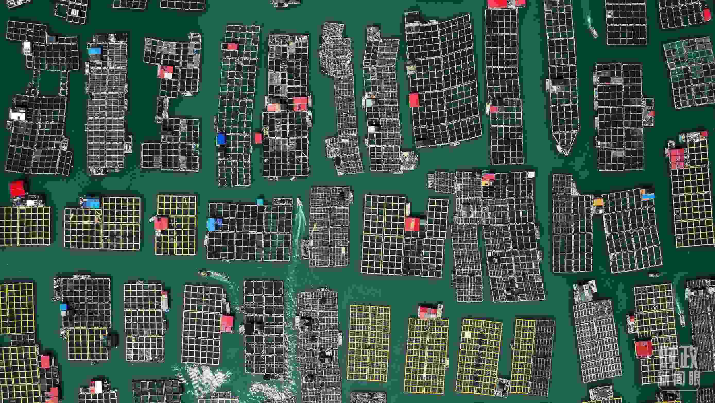 △澳角村。（總臺(tái)記者李晉拍攝）