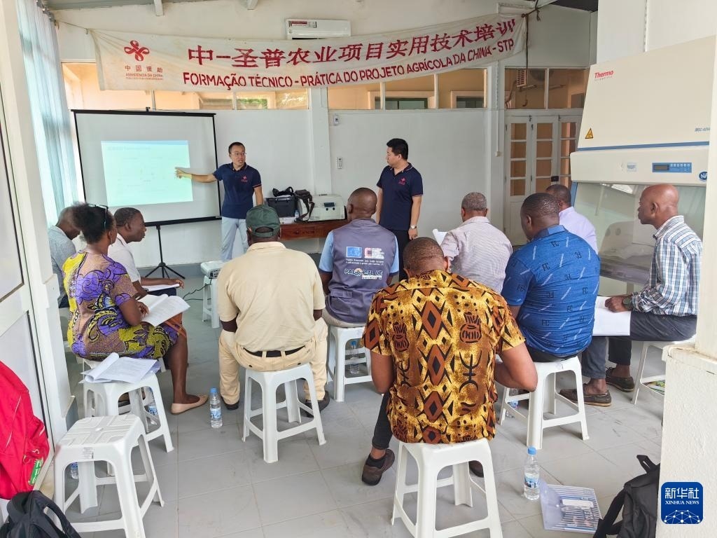 中國援圣普農(nóng)牧業(yè)技術(shù)項(xiàng)目組專家段振華（后左）在圣多美和普林西比的國家獸醫(yī)實(shí)驗(yàn)室開展動(dòng)物疫病監(jiān)測(cè)技術(shù)培訓(xùn)（2024年6月21日攝）。新華社發(fā)（中國援圣普農(nóng)技組供圖）