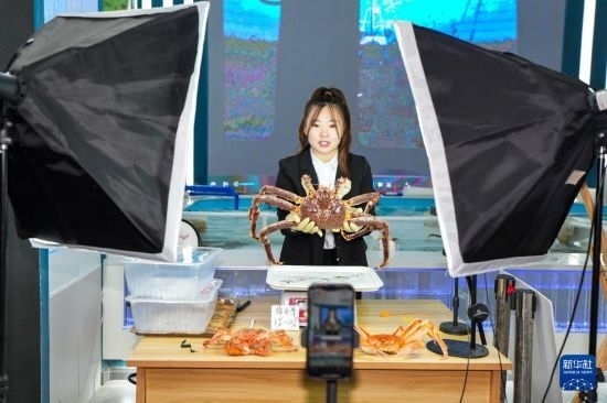 9月20日，在吉林省琿春市的帝王蟹保稅店內(nèi)，工作人員進行網(wǎng)絡(luò)直播售賣帝王蟹。新華社記者 許暢 攝