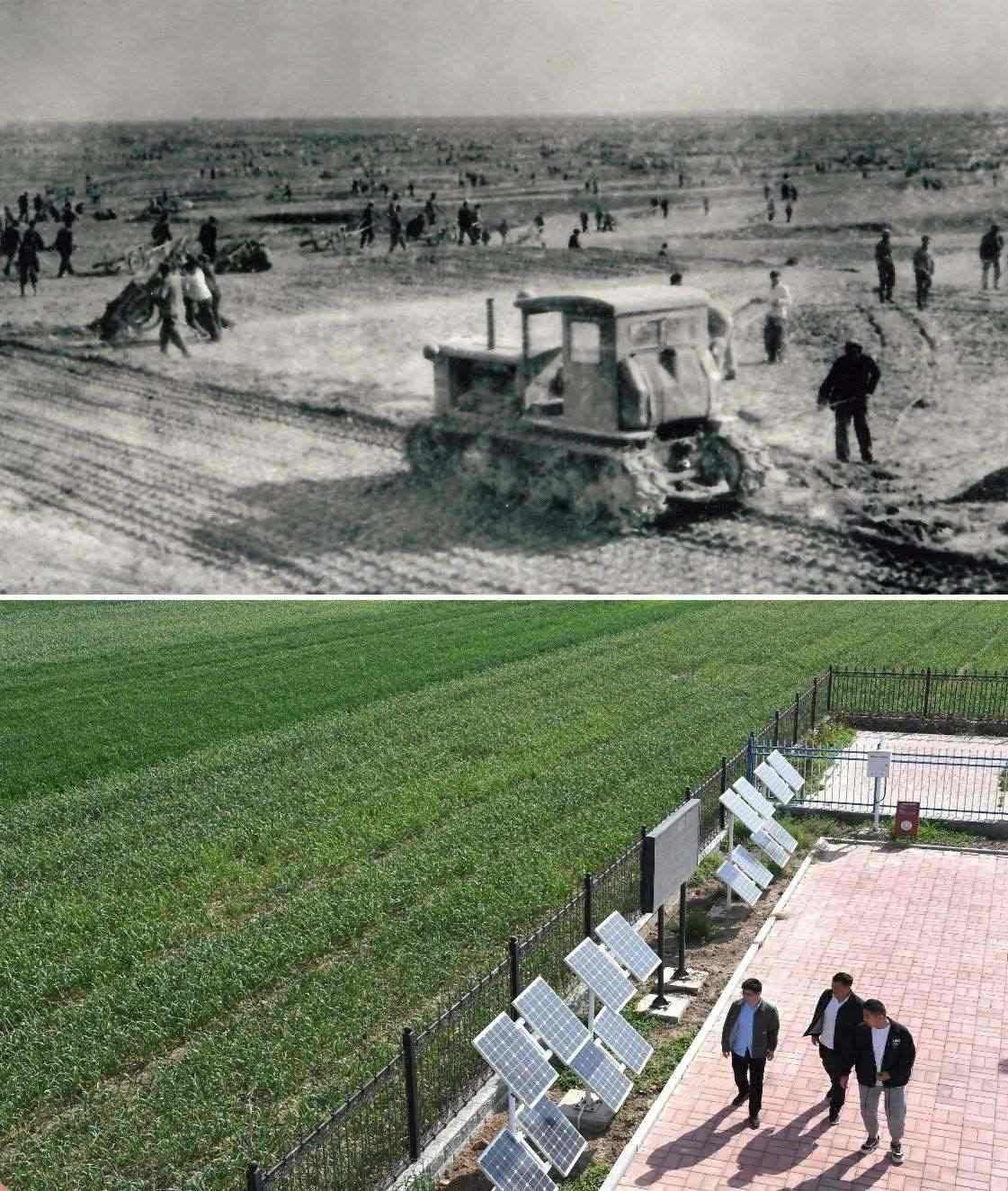 上圖為二十世紀六十年代蘭考改造鹽堿地的情景（資料照片）；下圖為2024年4月18日拍攝的蘭考縣紅廟鎮(zhèn)高標準農(nóng)田示范區(qū)。（新華社記者 朱祥 攝）