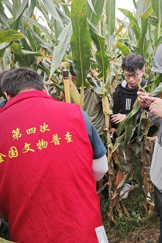 普查隊員正在使用探鏟進行探測。中國文物報供圖