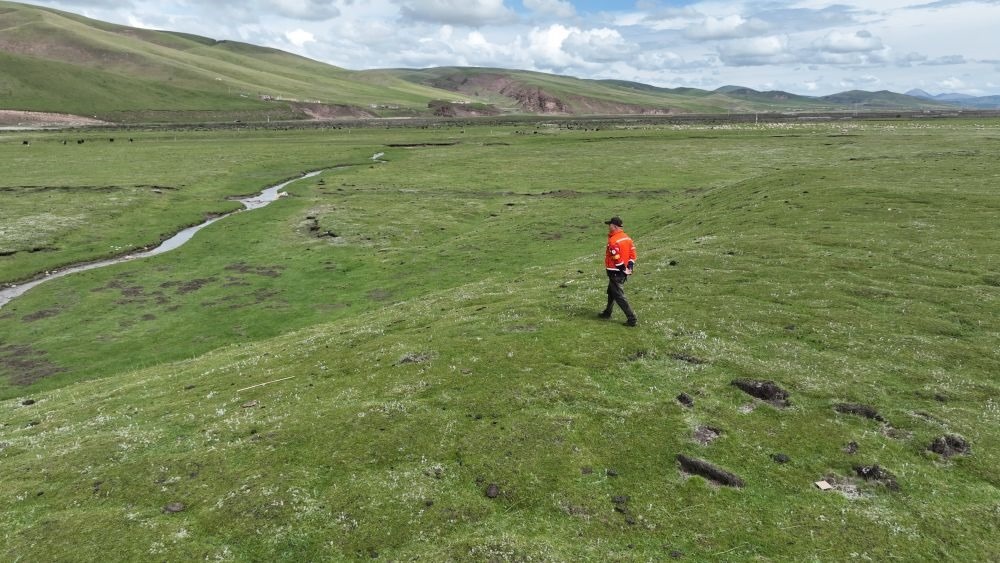 9月24日，生態(tài)管護員那瓦才郎在草場上巡護。（受訪者供圖）
