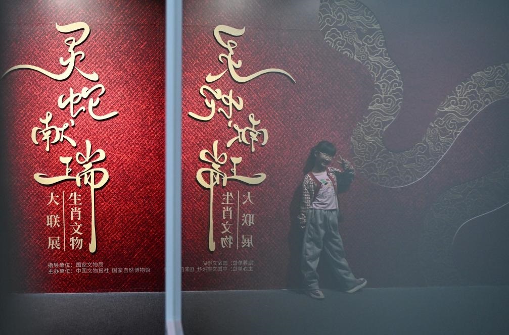 1月18日，一名小朋友在國家自然博物館舉辦的“靈蛇獻(xiàn)瑞——2025乙巳蛇年生肖文物大聯(lián)展”展覽中拍照留念。（新華社記者 陳鐘昊 攝）