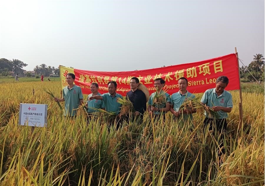 中國駐塞拉利昂大使王擎和援塞農(nóng)業(yè)專家組合影。中國援塞農(nóng)業(yè)專家組供圖