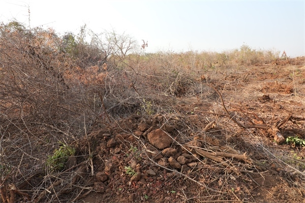 施工現(xiàn)場。張曉昆攝