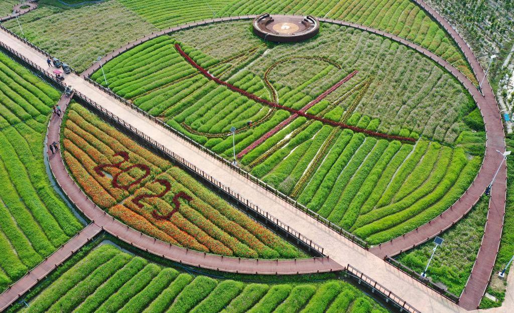 這是3月21日拍攝的瓊海博鰲南強(qiáng)村景色（無(wú)人機(jī)照片）。新華社記者 郭程 攝