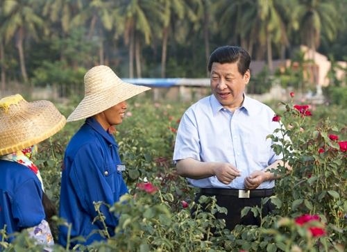 △2013年4月9日，習(xí)近平總書記在海南亞龍灣蘭德玫瑰風(fēng)情產(chǎn)業(yè)園向花農(nóng)了解玫瑰種植管理技術(shù)。