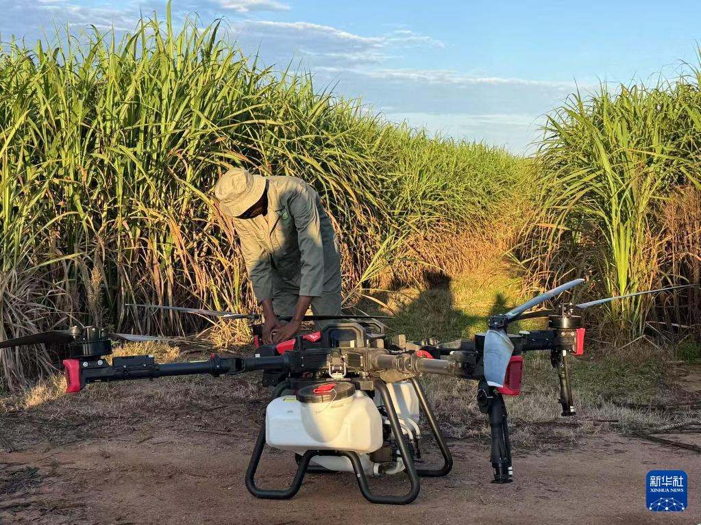 3月25日，在南非夸祖魯-納塔爾省的方廷希爾莊園，工作人員為無人機(jī)做起飛作業(yè)前的準(zhǔn)備。新華社記者 白舸 攝
