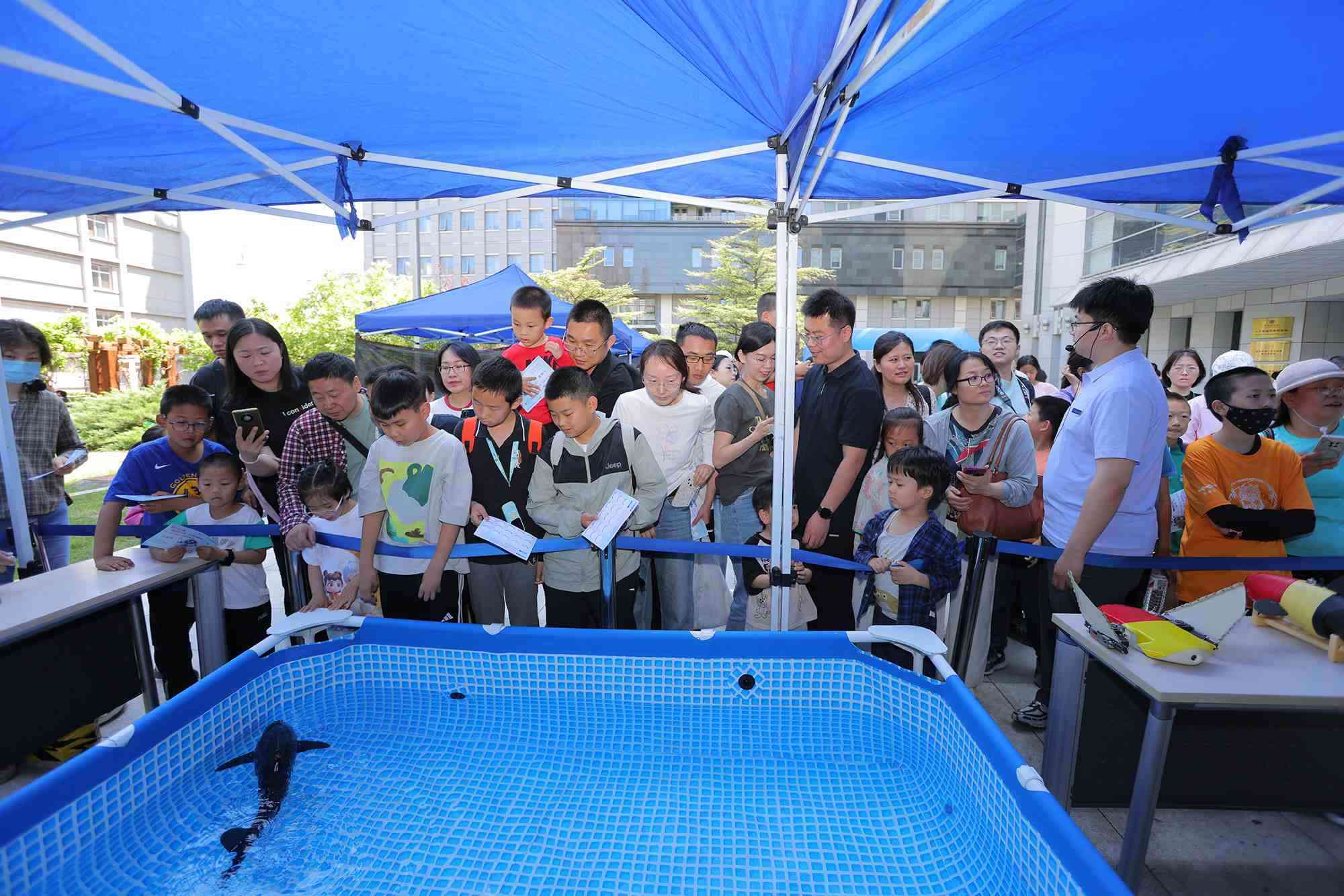 水下仿生機(jī)器魚(yú)在活動(dòng)現(xiàn)場(chǎng)大受歡迎。中國(guó)科學(xué)院自動(dòng)化研究所供圖